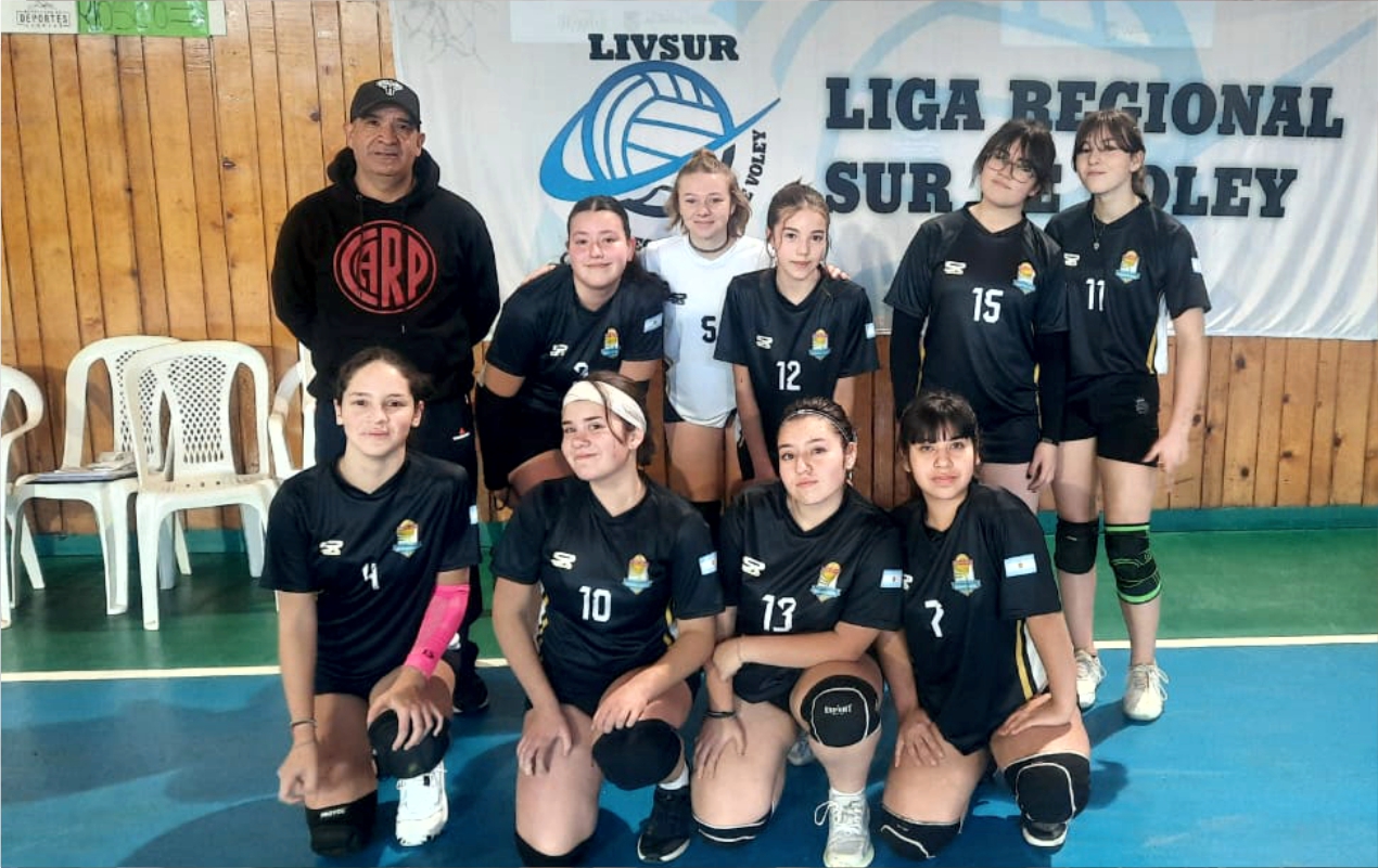 liga voley