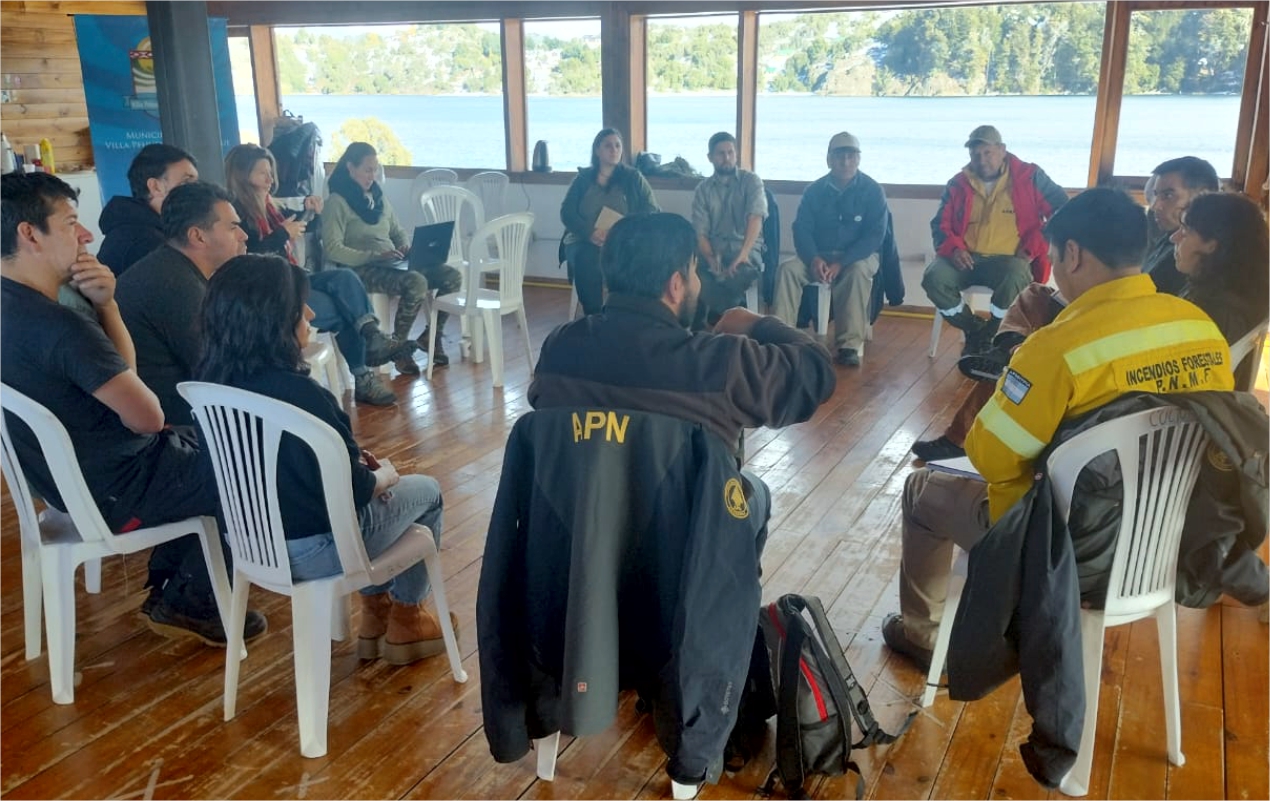 proyecto manejo del fuego