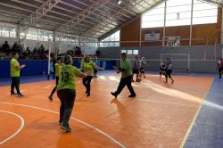 domingo-newcom-