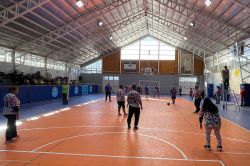 domingo-newcom-