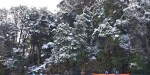 En Villa Pehuenia Moquehue, el invierno es mucho más que nieve