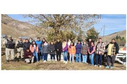 residuos-electronicos-